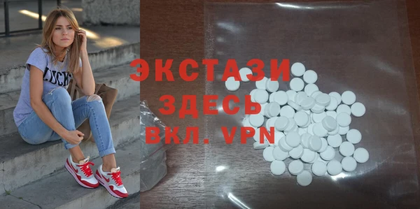 стаф Алзамай
