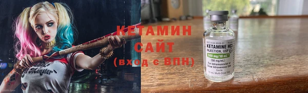стаф Алзамай