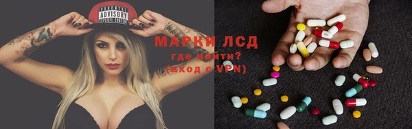 стаф Алзамай