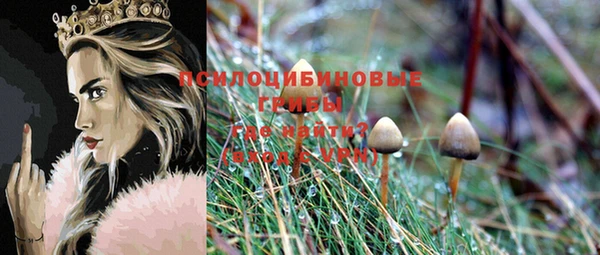 соль ск Алексеевка