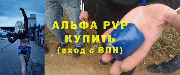 стаф Алзамай