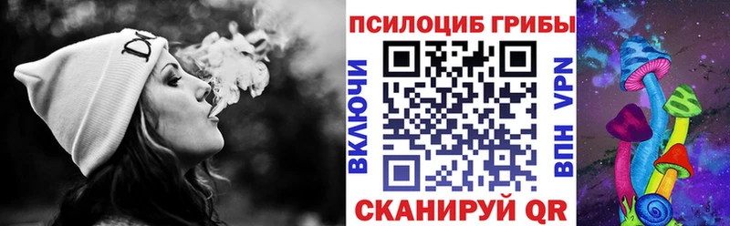 Псилоцибиновые грибы Psilocybe  как найти наркотики  Берёзовский 