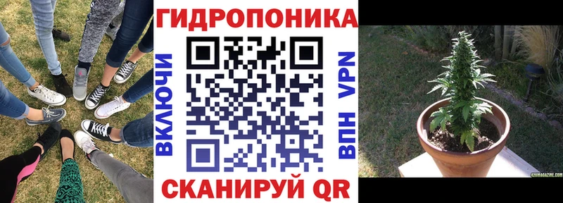 Бошки марихуана MAZAR Берёзовский